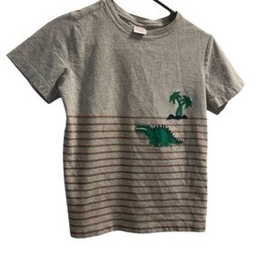 Hanna Anderson dinosaur tee in size US 10